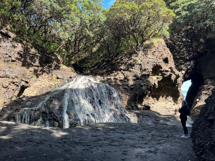 From Auckland: Guided Tour of Piha with Scenic Beach Walks - A pause at the local cafe