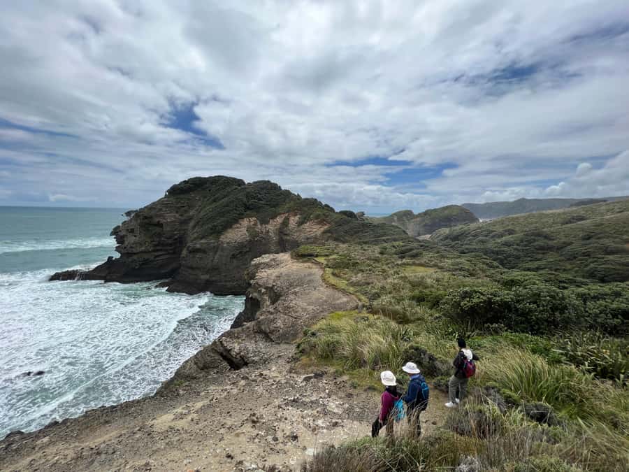 From Auckland: Guided Tour of Piha with Scenic Beach Walks - North Piha’s forest loop and birdlife