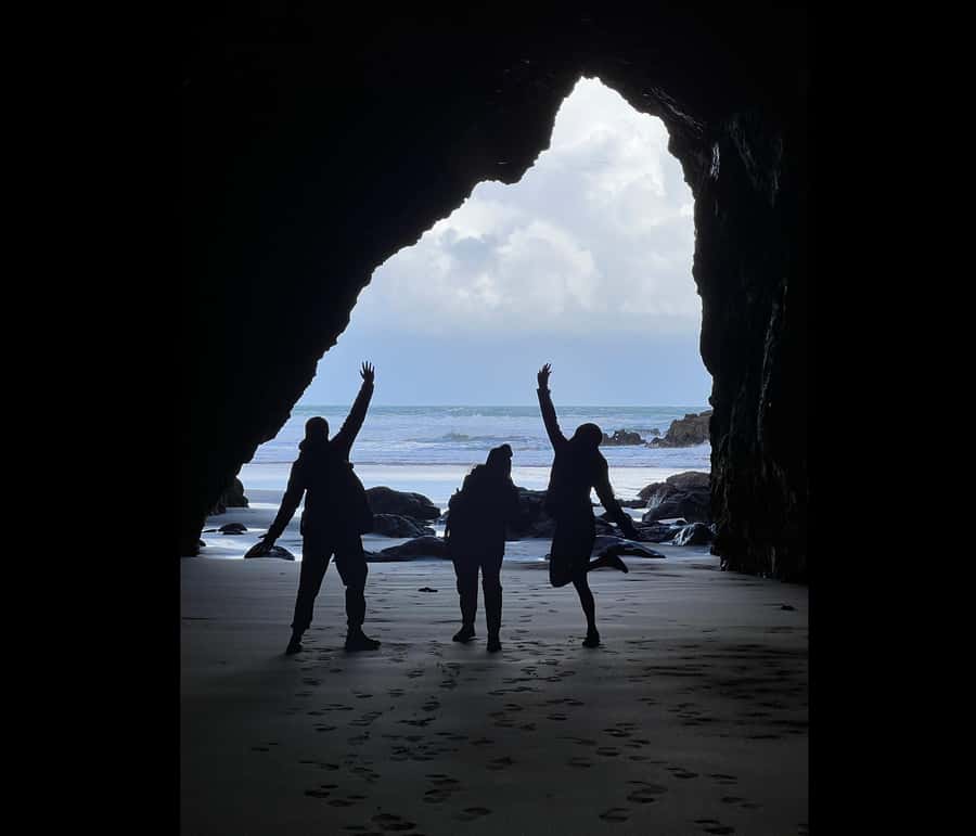 From Auckland: Guided Tour of Piha with Scenic Beach Walks - Picnic, towels, and time near the water