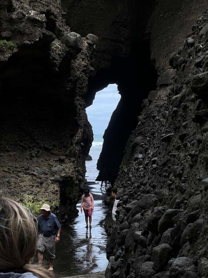 From Auckland: Guided Tour of Piha with Scenic Beach Walks - What the 6.5-hour schedule feels like