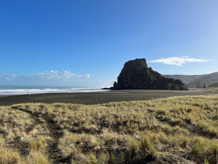 From Auckland: Guided Tour of Piha with Scenic Beach Walks - Transport, group size, and guide style