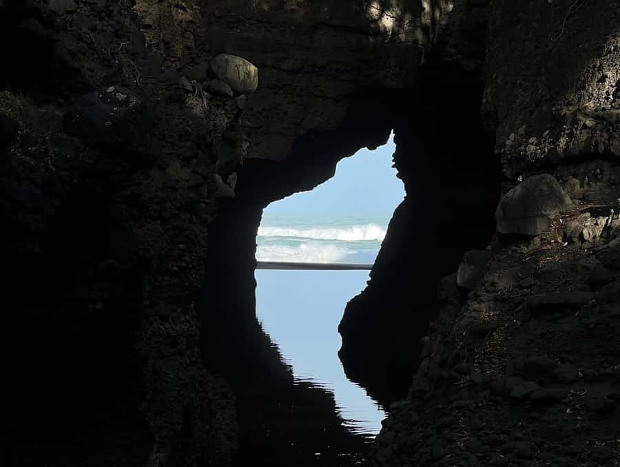 From Auckland: Guided Tour of Piha with Scenic Beach Walks - First look at Piha’s black sand