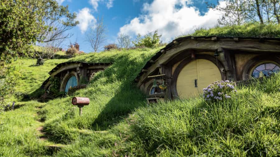 From Auckland: Hobbiton Afternoon Tour - A later start for a more relaxed Auckland day
