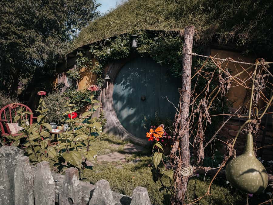 From Auckland: Hobbiton Afternoon Tour - Shire’s Rest gives you time before the guided walk