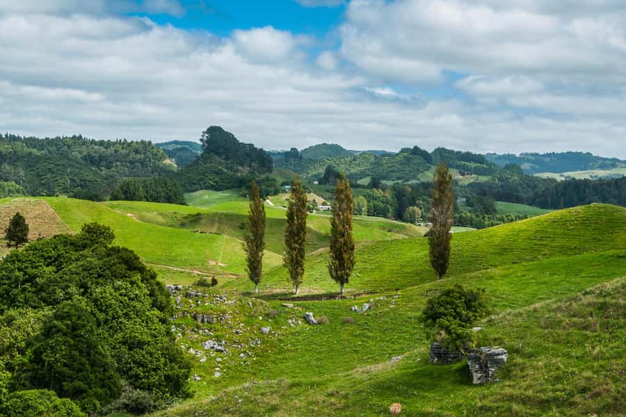 From Auckland: Hobbiton and Waitomo Day Tour with Lunch - Hobbiton: the reason most people book