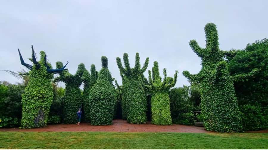 From Auckland: Hobbiton & Hamilton Gardens Small Group Tour - Hamilton Gardens: 1.5 hours of self-guided discovery