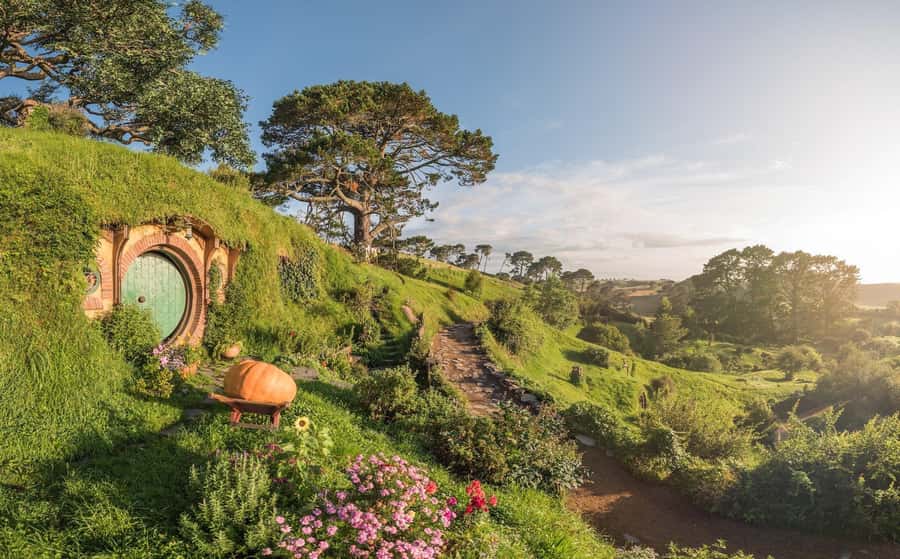 From Auckland: Hobbiton Movie Set Day Tour with Picnic Lunch - Walking past 44 hobbit holes