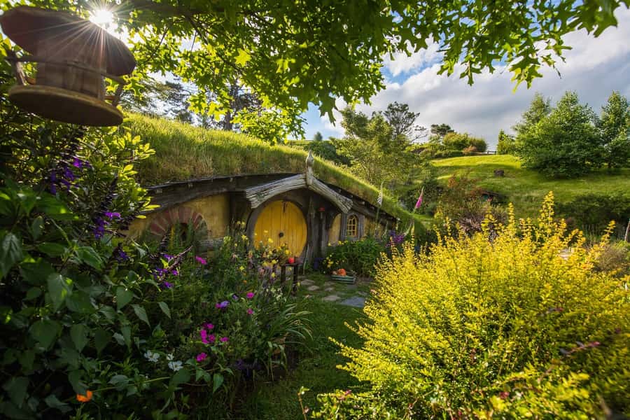 From Auckland: Hobbiton Movie Set Full-Day Small-Group Trip - Why the early morning matters at Hobbiton