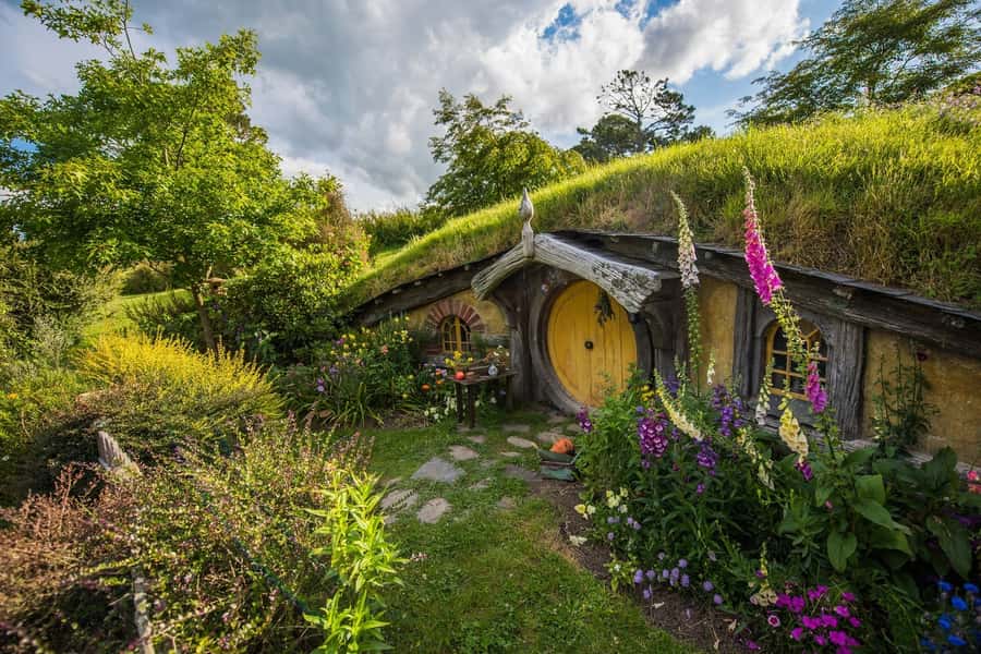 From Auckland: Hobbiton Movie Set Full-Day Small-Group Trip - The Auckland pickup and the road south