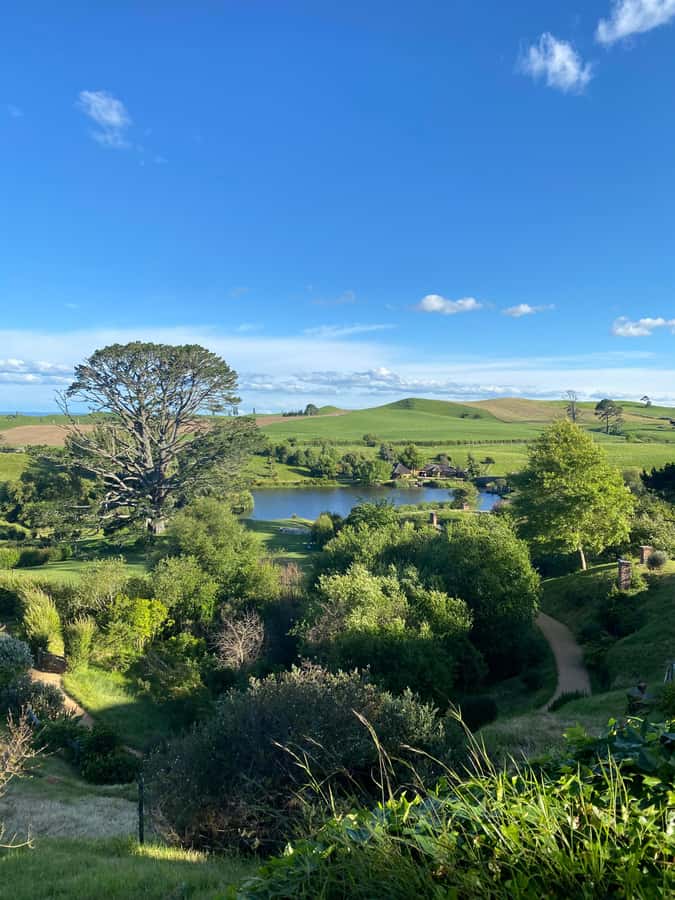 From Auckland: Hobbiton Movie Set - Private Tour - The Green Dragon Inn and your included drink