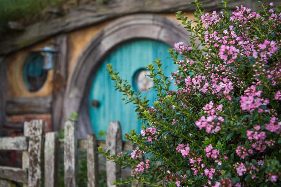 From Auckland: Hobbiton Movie Set Trip with Guided Tour - Is $197 good value?