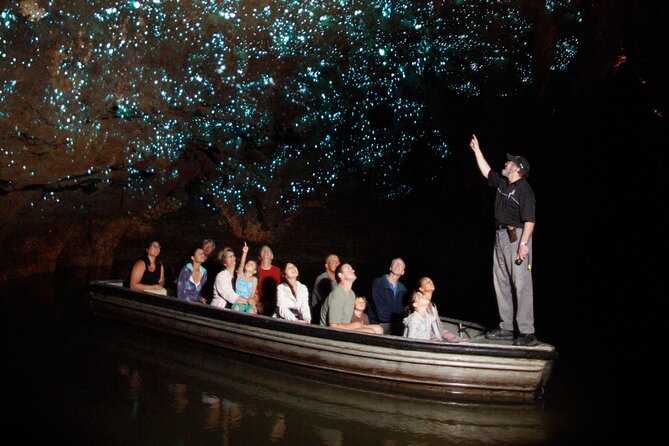 From Auckland:Hobbiton Movie Set & Waitomo Caves Small Group Tour - The Auckland pickup and the long road south