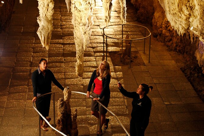 From Auckland:Hobbiton Movie Set & Waitomo Caves Small Group Tour - Is $257.54 good value?