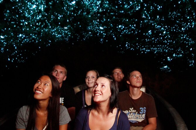 From Auckland:Hobbiton Movie Set & Waitomo Caves Small Group Tour - Who should book this full-day combination?