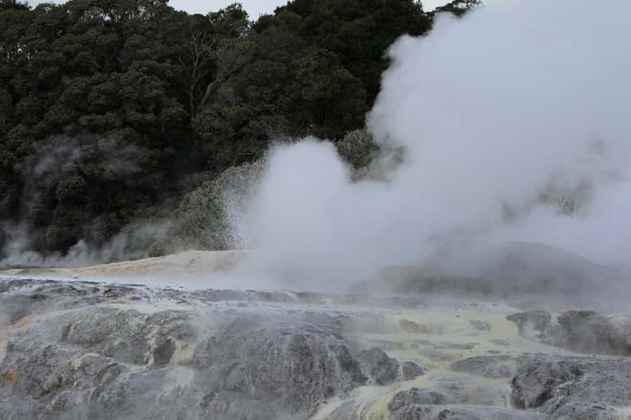 From Auckland: Hobbiton & Rotorua Tour with Lunch at Te Puia - Practical advice for a smoother day