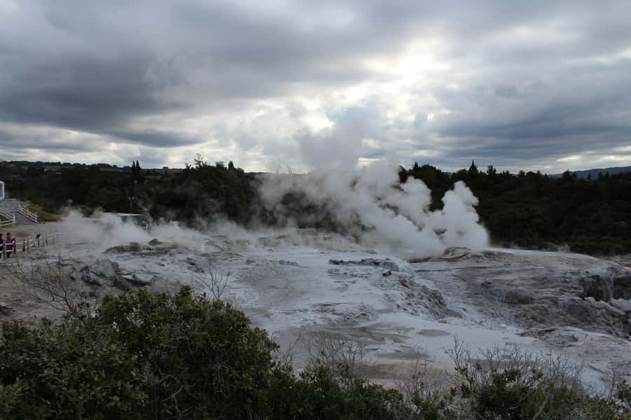 From Auckland: Hobbiton & Rotorua Tour with Lunch at Te Puia - Te Puia and Rotorua’s geothermal valley