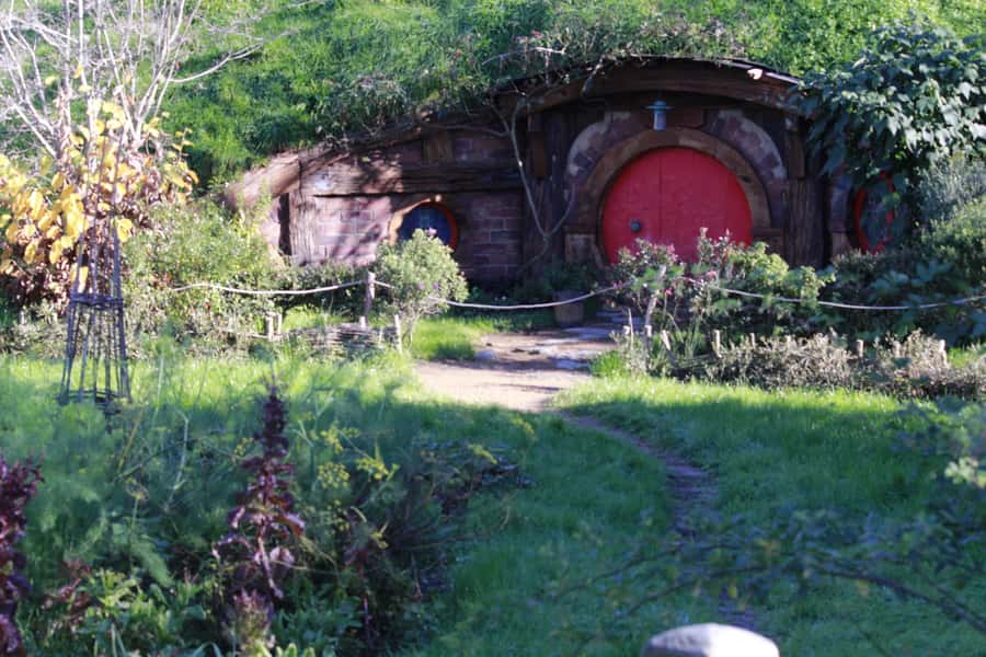 From Auckland: Hobbiton & Rotorua Tour with Lunch at Te Puia - What $286 buys you
