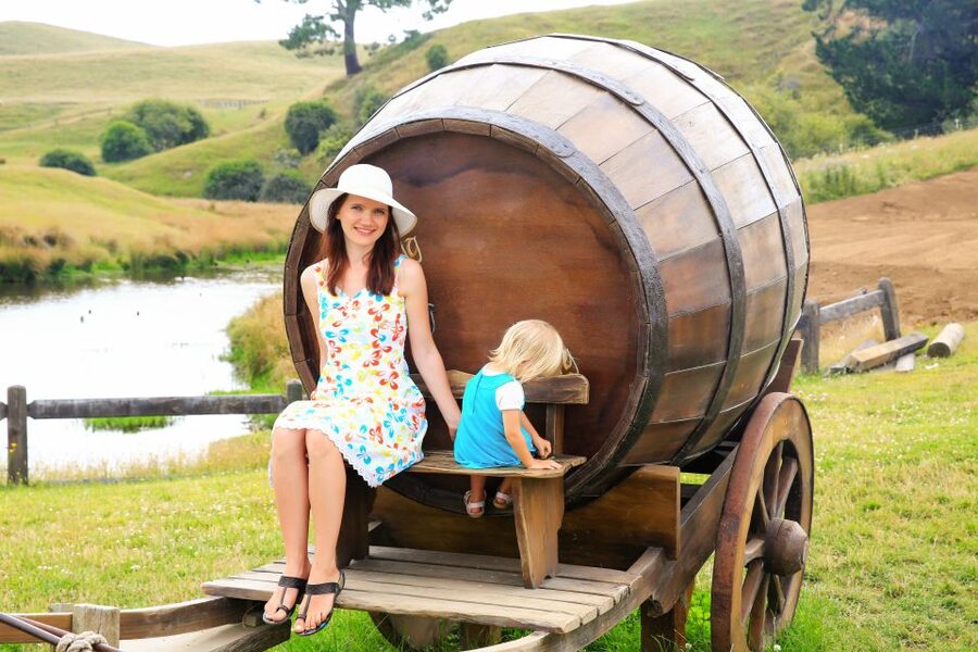 From Auckland: Hobbiton & Rotorua Tour with Lunch at Te Puia - The return to Auckland or one-way drop-off