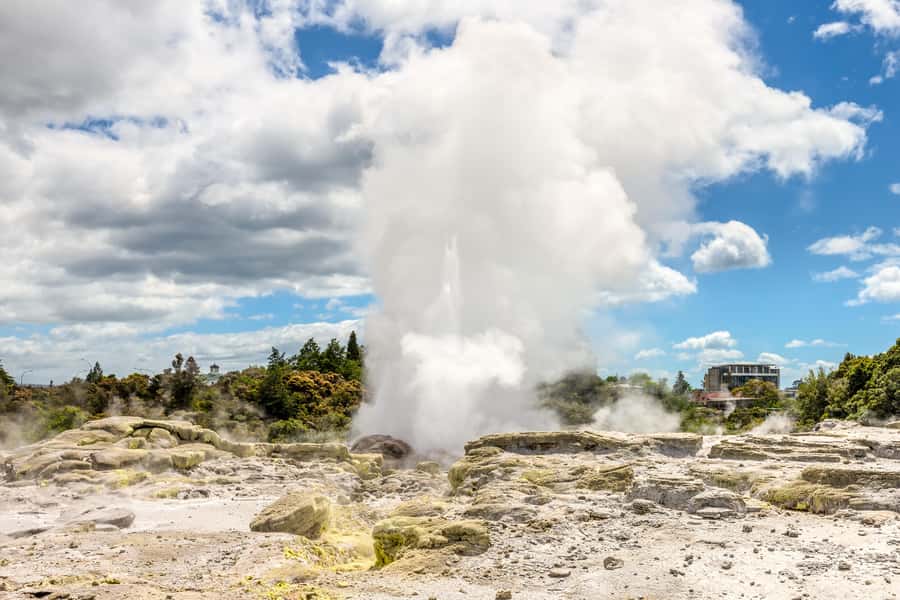 From Auckland: Hobbiton & Rotorua Tour with Lunch at Te Puia - Who will enjoy this tour most