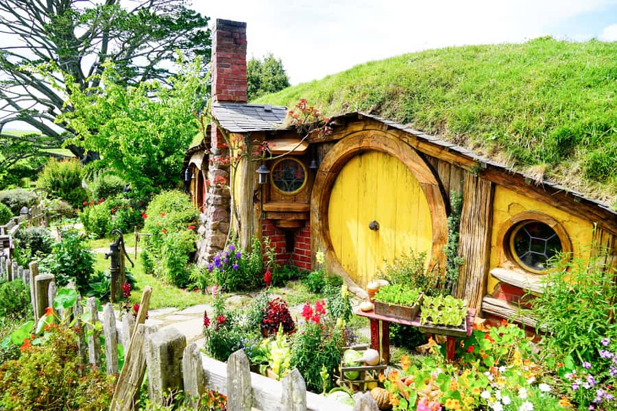 From Auckland: Hobbiton & Rotorua Tour with Lunch at Te Puia - The road from Auckland to Hobbiton