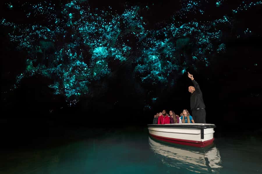 From Auckland: Hobbiton & Waitomo Caves Day Trip with Lunch - Who should book this experience