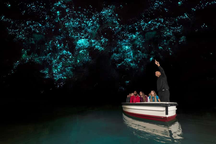 From Auckland: Hobbiton & Waitomo Caves Full-Day Trip - Key points at a glance