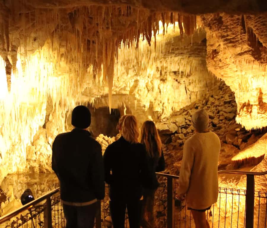 From Auckland: Hobbiton & Waitomo Caves Full-Day Trip - Who should book this tour?
