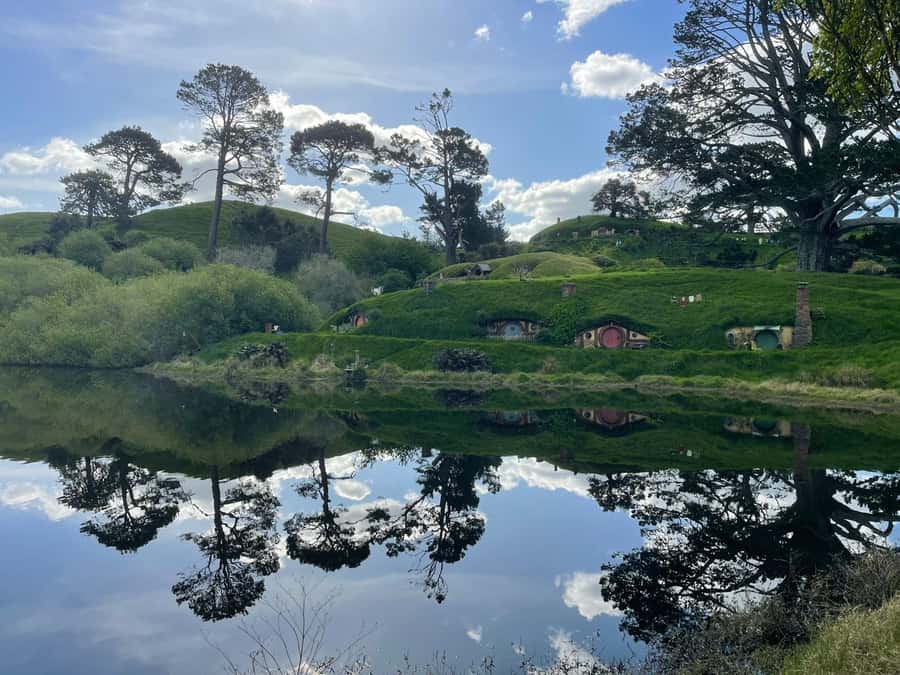 From Auckland: Hobbiton, Waitomo Caves & Kiwi House Tour - Key points to know before booking