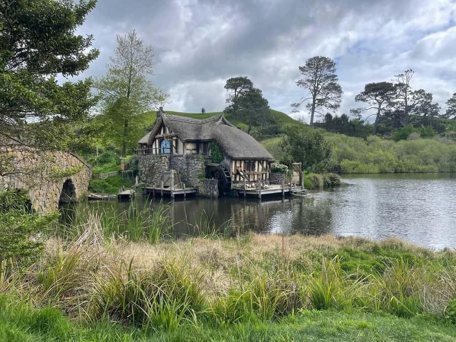 From Auckland: Hobbiton, Waitomo Caves & Kiwi House Tour - The return to Auckland and what you see from the road