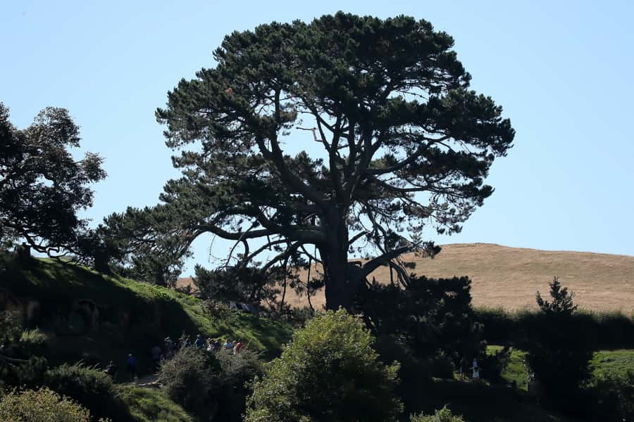 From Auckland or Rotorua: Hobbiton & Waitomo Tour with Lunch - Waitomo: a quiet boat ride under living lights