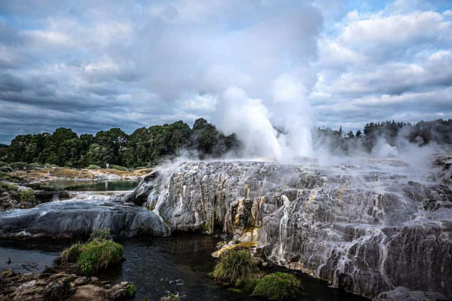 From Auckland: Rotorua Te Puia, Haka & Polynesian Spa Tour - Key points before you book
