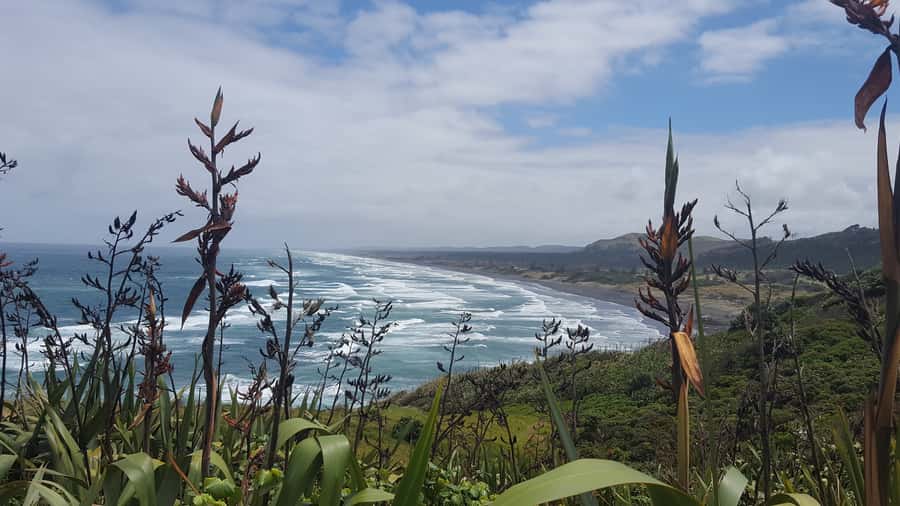 From Auckland: Small Group Kumeu Wine Tour with Lunch - Who should book this Kumeu outing