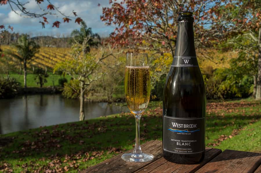 From Auckland: Small Group Kumeu Wine Tour with Lunch - Soljans: wine, family history, and the best lunch stop
