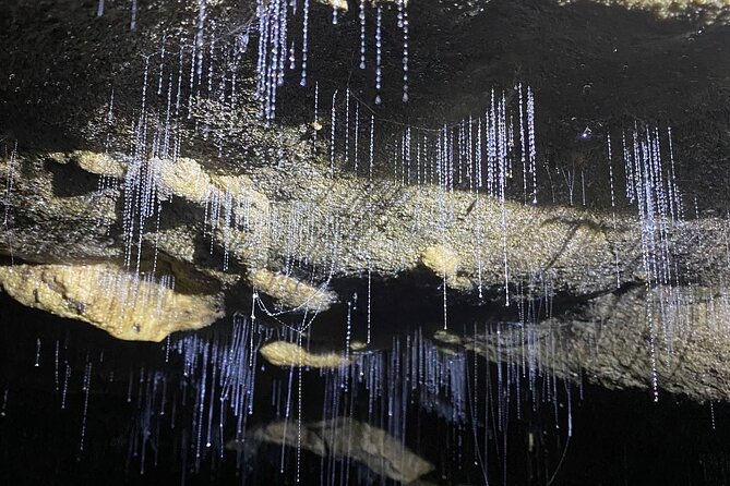 From Auckland: Spellbound, Waitomo Glowworm Cave Small Group Tour - Why the glowworm boat ride is worth the trip