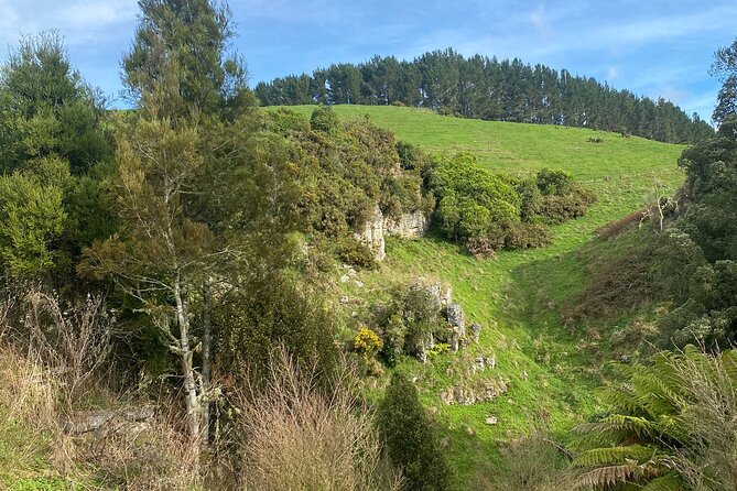 From Auckland: Spellbound, Waitomo Glowworm Cave Small Group Tour - Local guides add more than cave facts