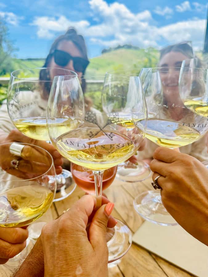 From Auckland: Waiheke Island Wineries' Tour - Why this Waiheke day works so well from Auckland