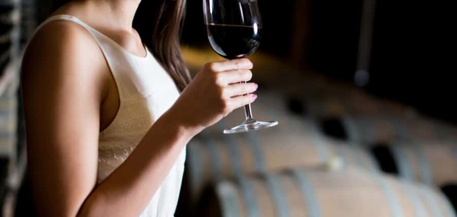 From Auckland: Waiheke Island Wineries' Tour - The views are nearly as important as the wine