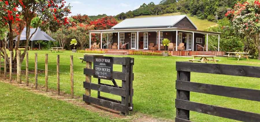 From Auckland: Waiheke Island Wineries' Tour - Lunch gives the day room to breathe