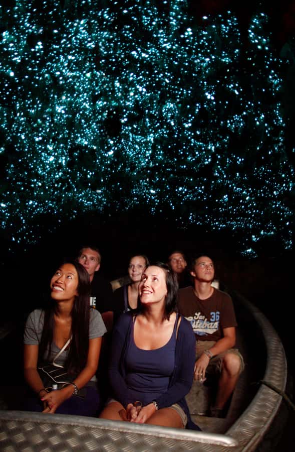 From Auckland: Waitomo Caves and Kiwi House Group Tour - Lunch in Otorohanga is your chance to choose