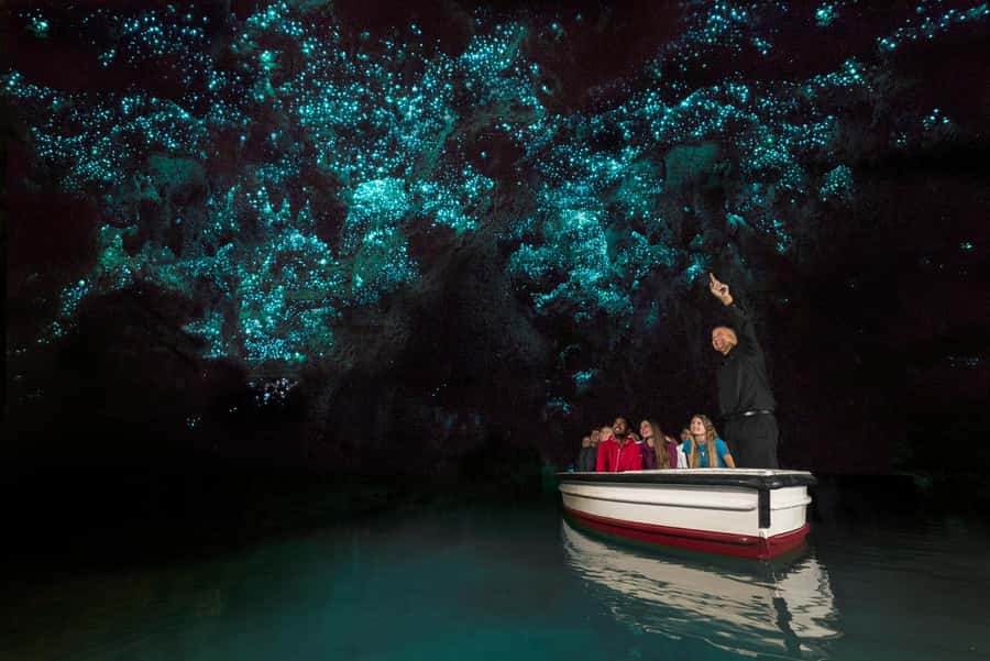From Auckland: Waitomo Glow Worm Caves & Rotorua Tour - Key points at a glance