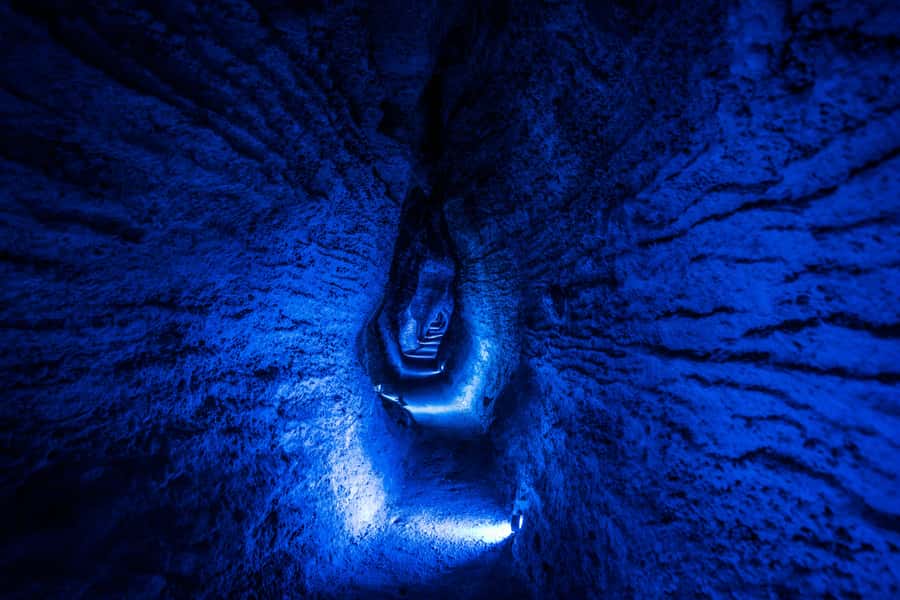 From Auckland: Waitomo Glowworm and Ruakuri Caves Day Tour - From Auckland to the green Waikato