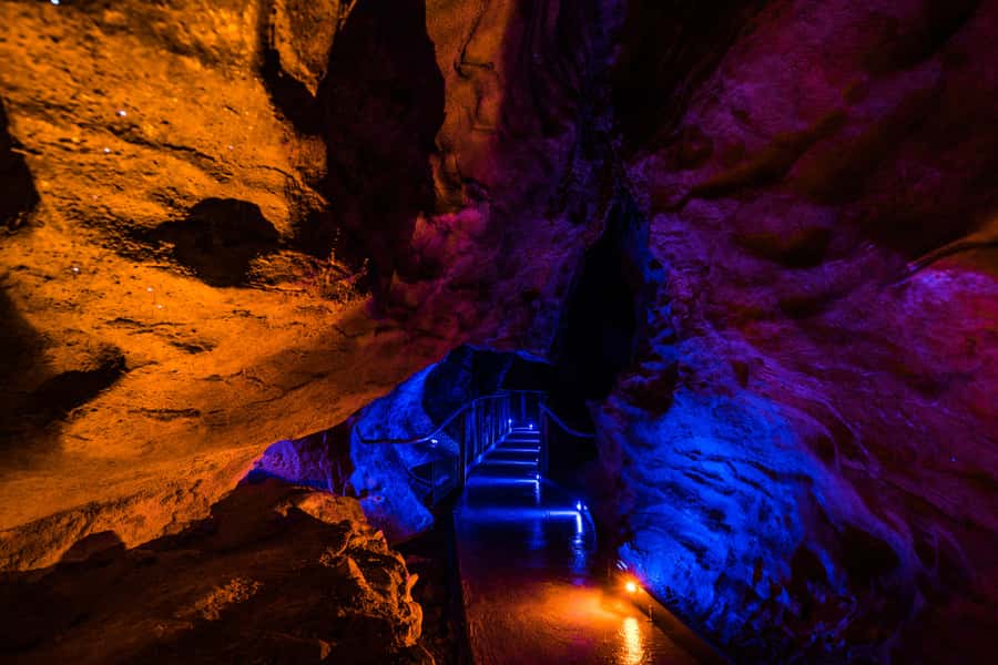 From Auckland: Waitomo Glowworm and Ruakuri Caves Day Tour - Waitomo Glowworm Caves and the underground boat