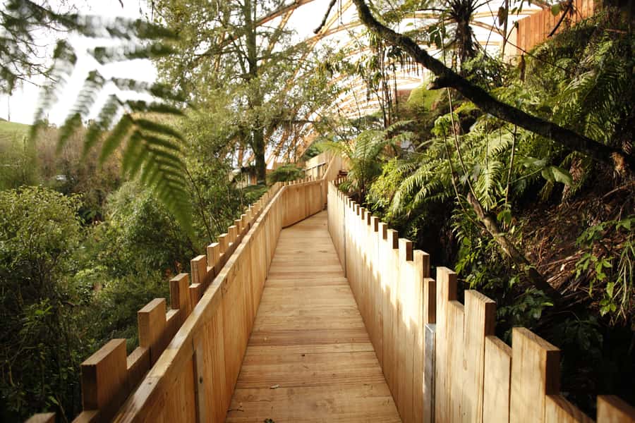 From Auckland: Waitomo Glowworm and Ruakuri Caves Day Tour - Who will enjoy this Waitomo day tour?
