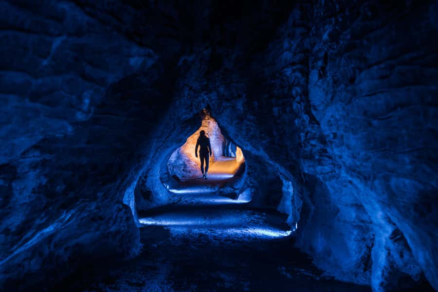 From Auckland: Waitomo Glowworm and Ruakuri Caves Day Tour - Booking details worth knowing
