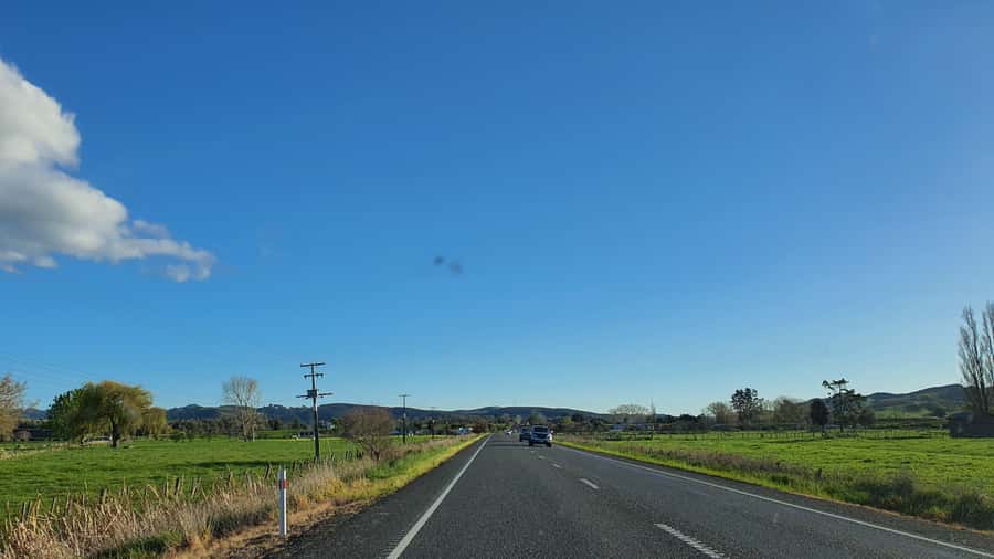From Auckland: Waitomo Glowworm Cave Tour - The long road from Auckland to Waitomo
