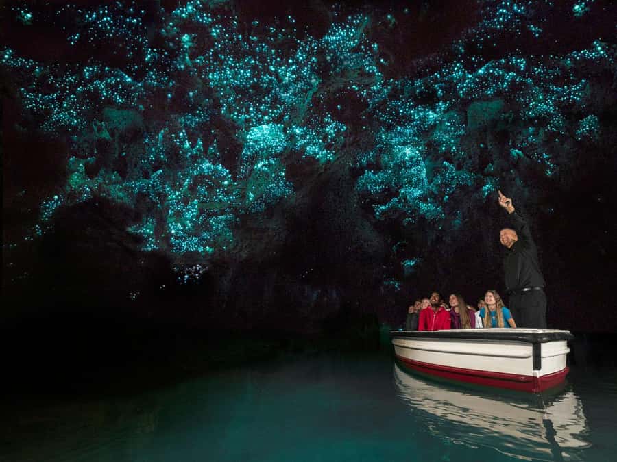 From Auckland: Waitomo Glowworm Cave Tour - The glowworm chamber and its quiet boat ride