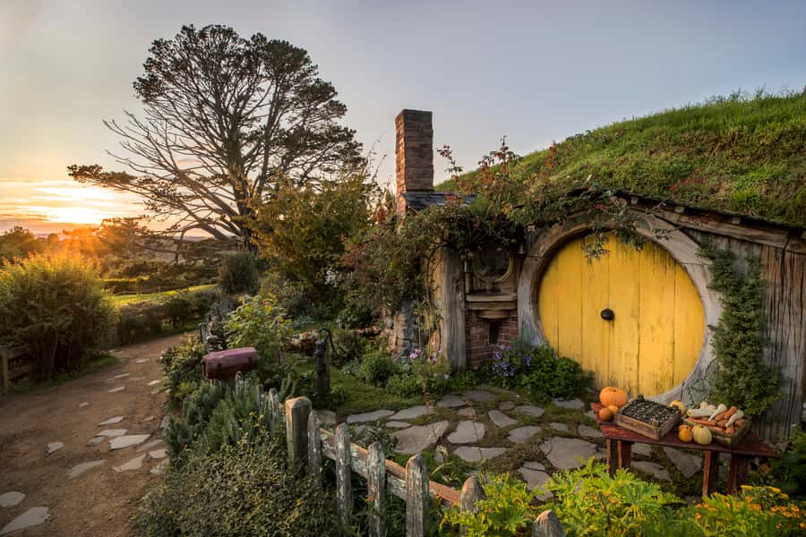 From Auckland: Waitomo & Hobbiton Bus Tour with Lunch - Waitomo Glowworm Caves and the silent boat ride