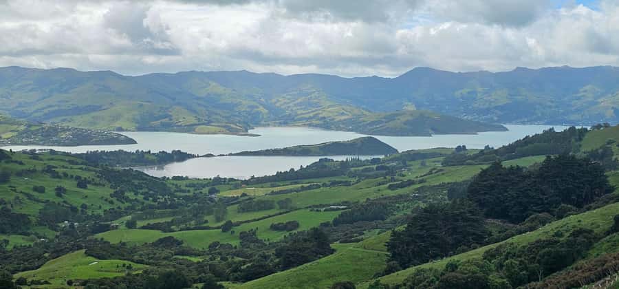From Christchurch: Akaroa Day Tour with Optional Cruise - Three hours in French-influenced Akaroa