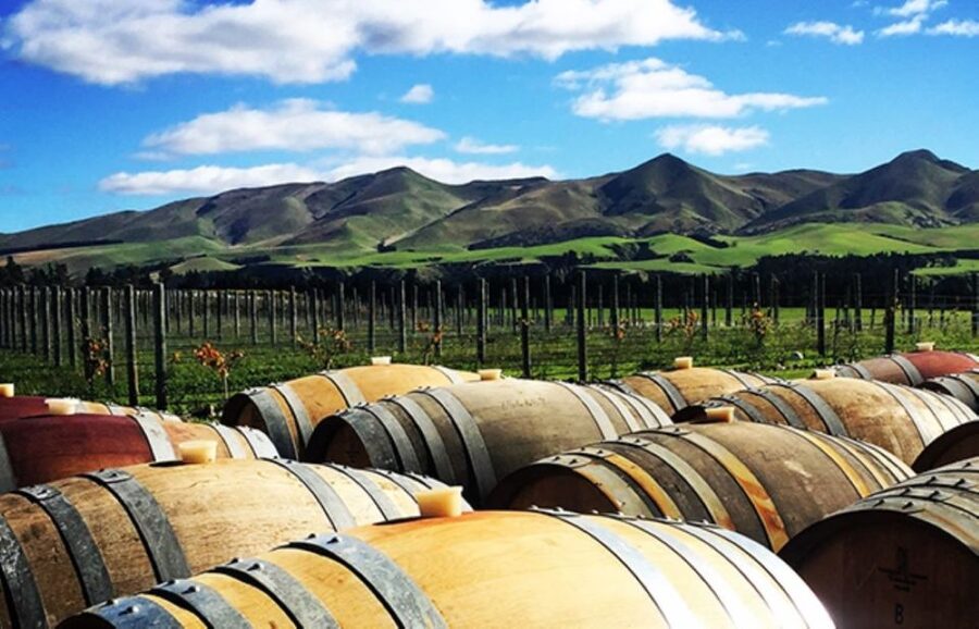 From Christchurch: Guided Local Wine Tours in Waipara - Choosing your Waipara lunch