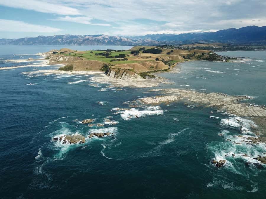 From Christchurch: Kaikōura Day Tour With Dolphin Encounter - Waipara offers wine, but do not count on it